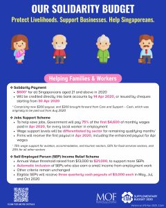 fy2020_solidarity_infographic_Page_1