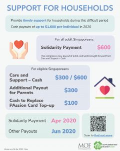 fy2020_solidarity_support_households
